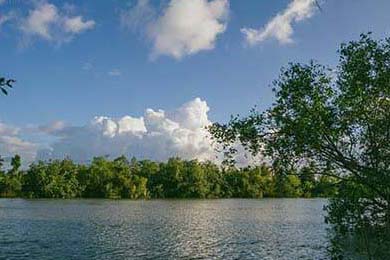 ??新開一秒SF全攻略新手必看!快速稱霸江湖的秘籍?