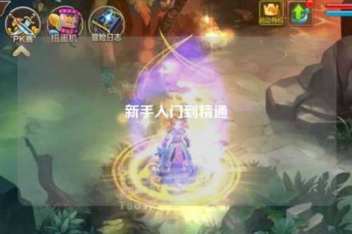 新手入門到精通