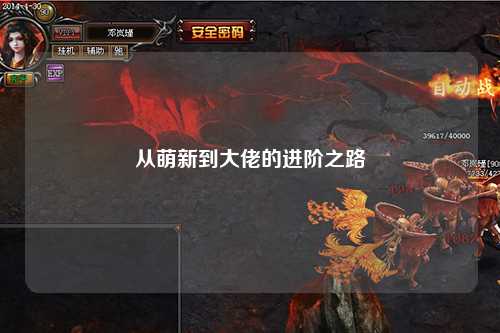 從萌新到大佬的進(jìn)階之路