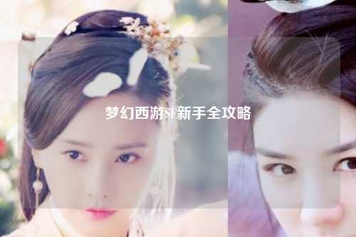 夢(mèng)幻西游SF新手全攻略
