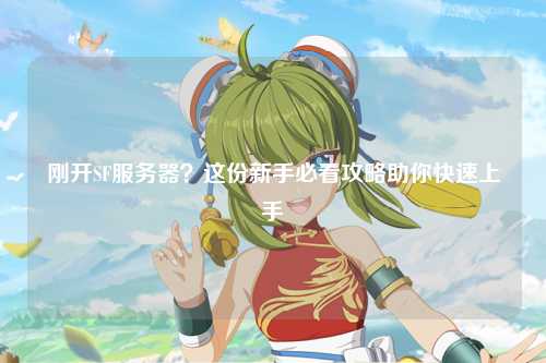 剛開SF服務(wù)器？這份新手必看攻略助你快速上手