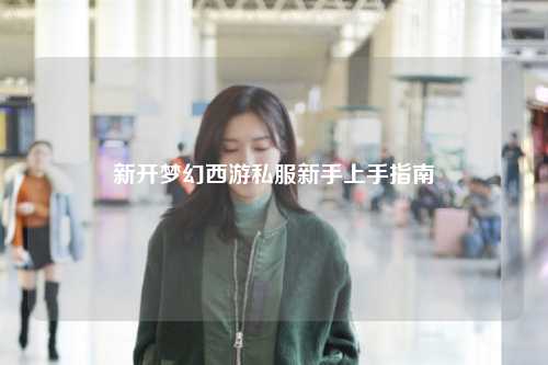 新開夢幻西游私服新手上手指南
