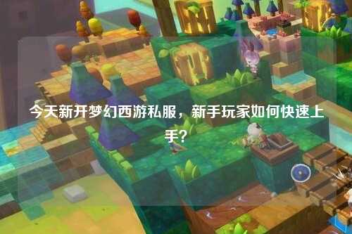 今天新開夢幻西游私服，新手玩家如何快速上手？