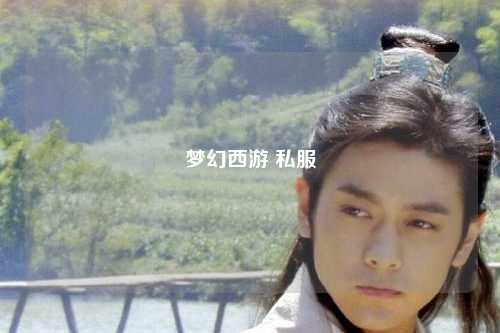 夢(mèng)幻西游 私服